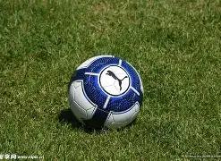 東契奇評論,華盛頓的防,守強度和積,新葡京,新葡京app,新葡京娱乐,新普京赌场